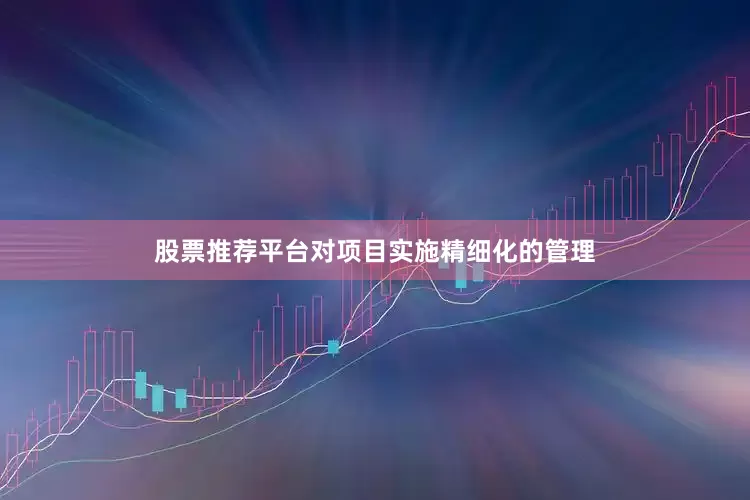 股票推荐平台对项目实施精细化的管理