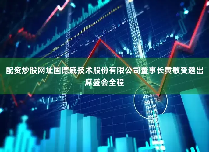 配资炒股网址固德威技术股份有限公司董事长黄敏受邀出席盛会全程